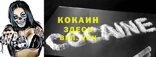 винт Лабытнанги
