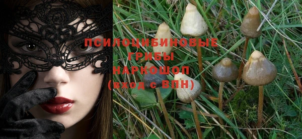 винт Лабытнанги