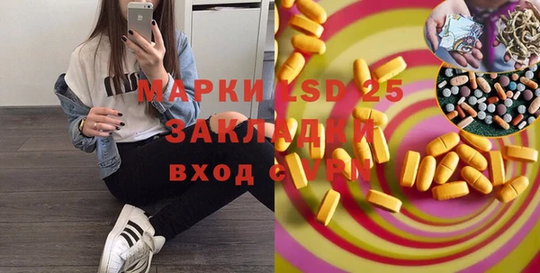 PSILOCYBIN Ладушкин