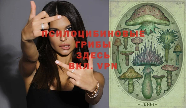 PSILOCYBIN Ладушкин