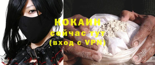 винт Лабытнанги
