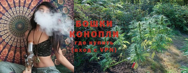винт Лабытнанги