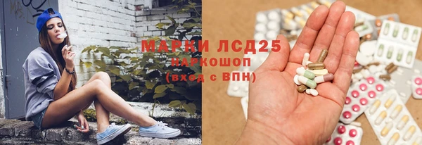 PSILOCYBIN Ладушкин