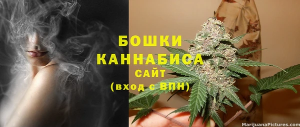 PSILOCYBIN Ладушкин