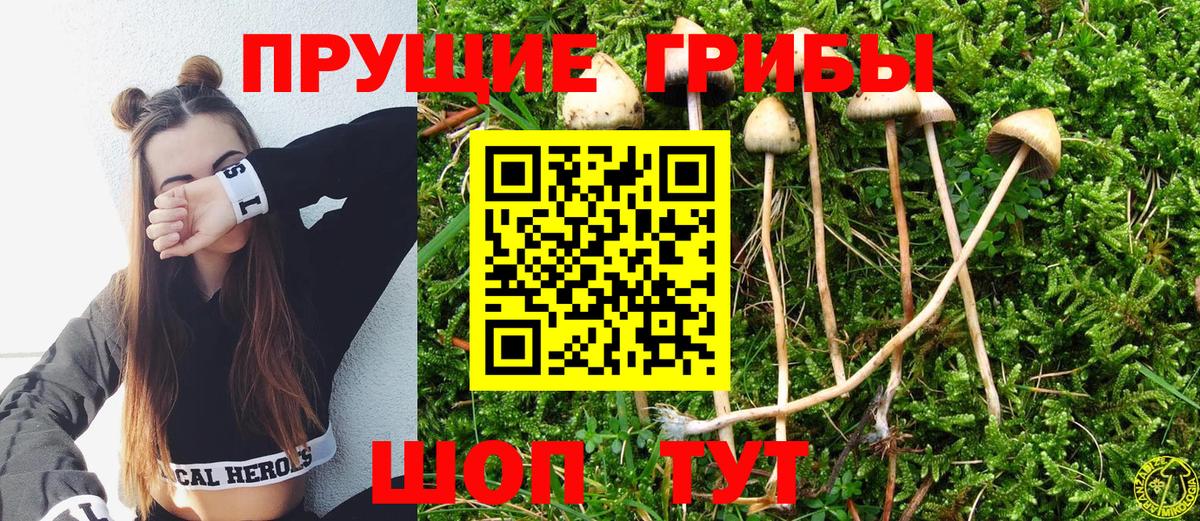 Псилоцибиновые грибы Magic Shrooms Малгобек