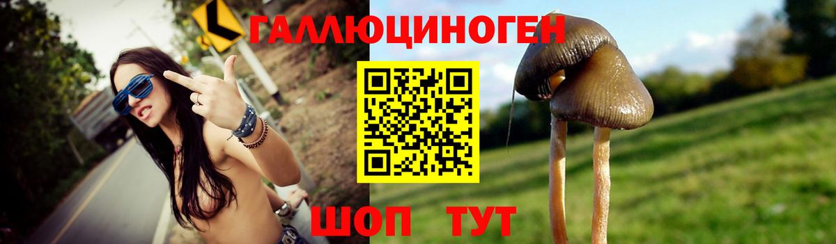Галлюциногенные грибы мухоморы  купить закладку  Малгобек  Вход с VPN  Галлюциногенные грибы Psilocybine cubensis 